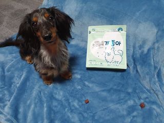 My Pet Care 천연단백질 눈건강에 개좋아 — 5점을 준 리뷰어가 2021년 2월 올린 사용 사진