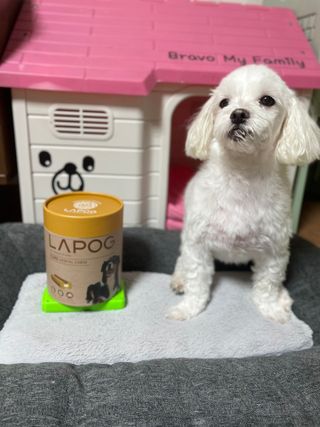 달콩리치님이 올린 리뷰 사진 3