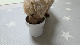 쓸언니님이 올린 리뷰 사진 3