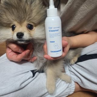 [댕모어 클리너 3종] 아이클리너 / 이어클리너 / 덴탈클리너 3종 세트 (120ml) — 5점을 준 리뷰어가 2023년 11월 올린 사용 사진