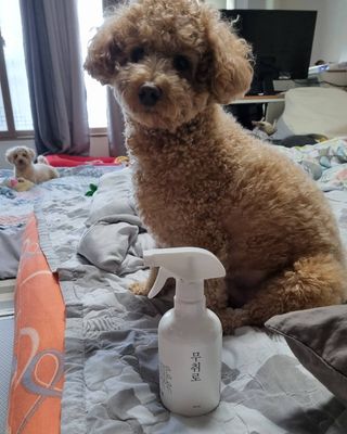 기린짱맘님이 올린 리뷰 사진 3