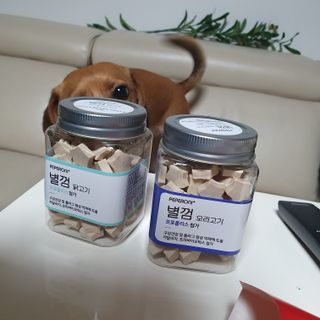 페페로니 자기전에 먹는 저알러지 껌 세트 치킨+오리 — 5점을 준 리뷰어가 2021년 7월 올린 사용 사진
