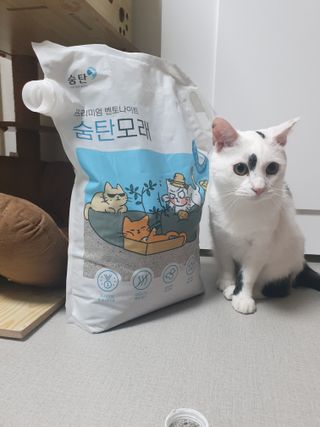 귀욤뽀짝센스쟁이님이 올린 리뷰 사진 1