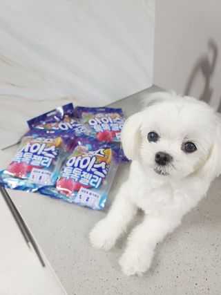 송린깡님이 올린 리뷰 사진 1