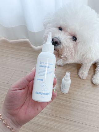 [댕모어 클리너 3종] 아이클리너 / 이어클리너 / 덴탈클리너 3종 세트 (120ml) — 5점을 준 리뷰어가 2023년 8월 올린 사용 사진