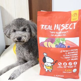 [푸디웜] 라포그  리얼인섹트 관절 저알러지 강아지 사료  1.2KG — 5점을 준 리뷰어가 2022년 8월 올린 사용 사진