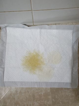 뾰로롱꼬마마녀님이 올린 리뷰 사진 1