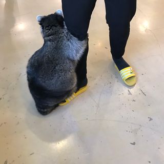 리준님이 올린 리뷰 사진 2