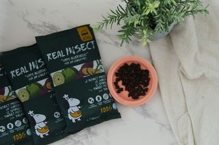 [푸디웜] 라포그  리얼인섹트 웨이트밸런스 저알러지 강아지 사료  1.2KG — 5점을 준 리뷰어가 2021년 7월 올린 사용 사진