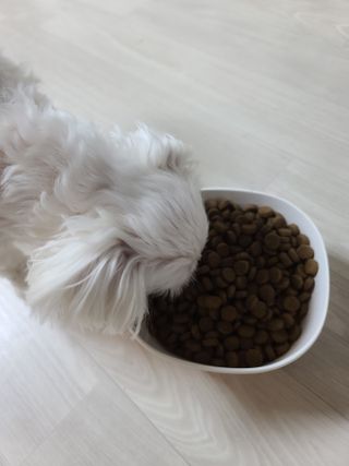 이쏭쏭님이 올린 리뷰 사진 4