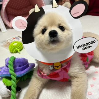 LeeMin님이 올린 리뷰 사진 1