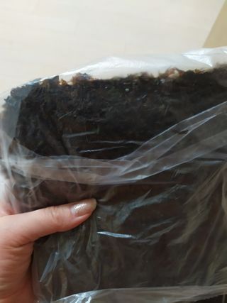 [해림맛김] 들기름에 구운 바삭바삭 김 4종 세트 + 1종 랜덤발송 총5개입 — 5점을 준 리뷰어가 2021년 2월 올린 사용 사진