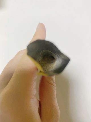 MJ님이 올린 리뷰 사진 4