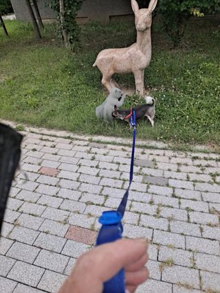 꽃수니어니님이 올린 리뷰 사진 2