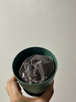 Obliviate님이 올린 리뷰 사진 2