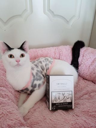 유키코코샤넬님이 올린 리뷰 사진 2