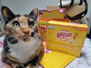 광동생활건강 [광동] 비타500데일리스틱 70포+쇼핑백+구미3개 — 5점을 준 리뷰어가 2021년 12월 올린 사용 사진