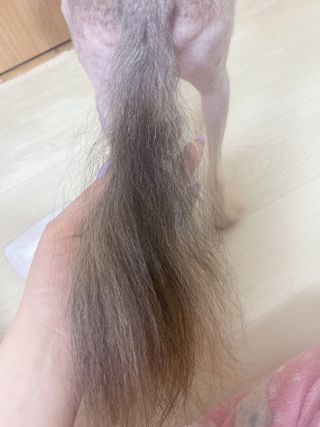 마이츄님이 올린 리뷰 사진 4