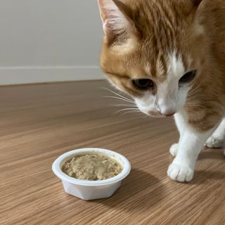 또블리님이 올린 리뷰 사진 4