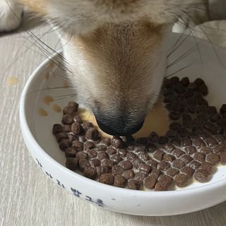 쿠키러너님이 올린 리뷰 사진 4