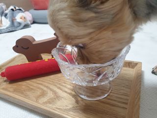 딸기맘님이 올린 리뷰 사진 2