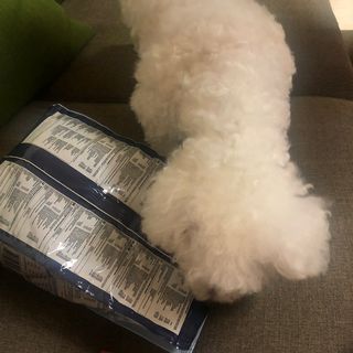 후루룩님이 올린 리뷰 사진 2