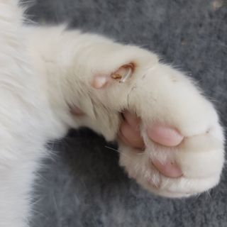 쓔리님이 올린 리뷰 사진 3