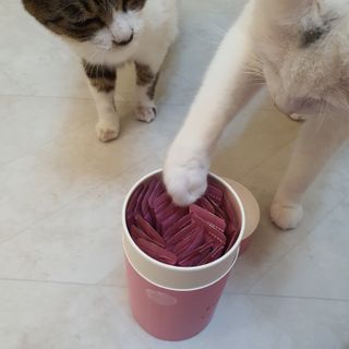 페페로니 잘 먹는 캣츄 - 알래스카 연어 24개입 — 5점을 준 리뷰어가 2021년 9월 올린 사용 사진