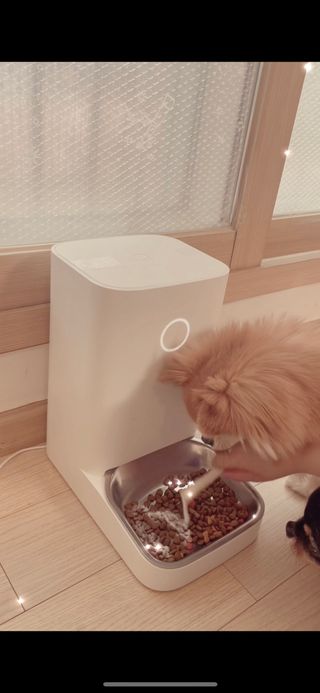My Pet Care 모발과 모질 피부건강에 개좋아 — 5점을 준 리뷰어가 2021년 4월 올린 사용 사진