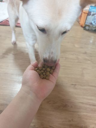 5냥2멍님이 올린 리뷰 사진 4