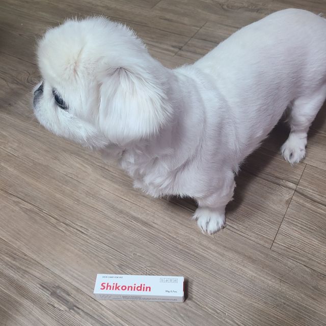 [자유펫] 시코니딘 고양이 강아지 피부 보습 연고 20g 리뷰 사진