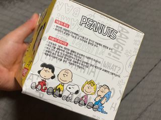 JHWORLD 스누피 마스크 정품 스누피 닥터클린 국내 아동용 성인용 3중 MB필터 일회용 덴탈마스크 50매 — 5점을 준 리뷰어가 2021년 9월 올린 사용 사진