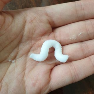 두두님이 올린 리뷰 사진 2