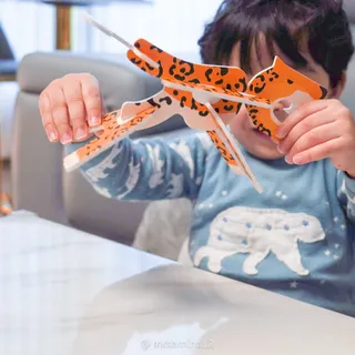 Amina님이 올린 리뷰 사진 3