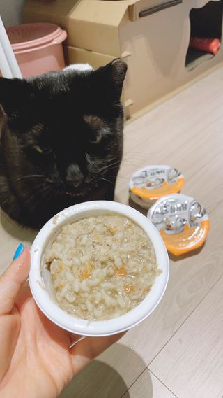 진영홍님이 올린 리뷰 사진 1