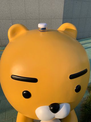 아나스타샤😊님이 올린 리뷰 사진 2