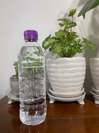 몽베스트 [MONTBEST]위드어스 500mL 20병 — 5점을 준 리뷰어가 2022년 6월 올린 사용 사진