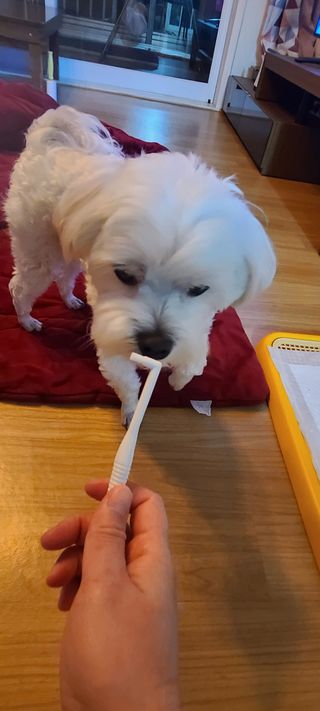 삐랭이님이 올린 리뷰 사진 3