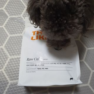 야호review님이 올린 리뷰 사진 2