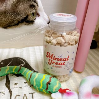 프롬씨 미네랄 소고기트릿 / 미네랄 치킨트릿 / 미네랄 북어트릿 (3가지 상품 중 랜덤 1가지 상품 랜덤 발송) — 5점을 준 리뷰어가 2022년 11월 올린 사용 사진