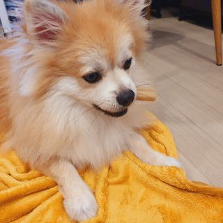좋아님이 올린 리뷰 사진 2