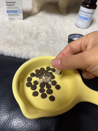 뽀야니님이 올린 리뷰 사진 1