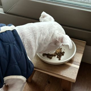 초코송이님이 올린 리뷰 사진 3