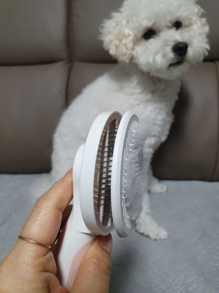 호두맘님이 올린 리뷰 사진 2