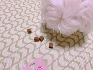 My Pet Care 천연단백질 눈건강에 개좋아 — 5점을 준 리뷰어가 2021년 3월 올린 사용 사진