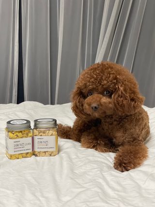 페페로니 진짜 프리바이오틱스 치즈+치즈고구마 180g+180g — 5점을 준 리뷰어가 2021년 7월 올린 사용 사진