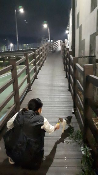 페페로니 맛있는 스틱 - 무항생제 닭고기 15개 + 원양선 참치 15개 — 5점을 준 리뷰어가 2021년 8월 올린 사용 사진