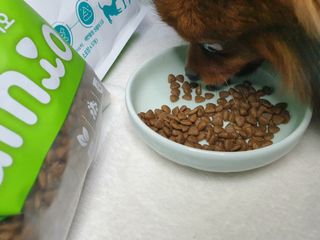[풀무원아미오] 건강담은식단 1kg 3종 — 5점을 준 리뷰어가 2021년 2월 올린 사용 사진