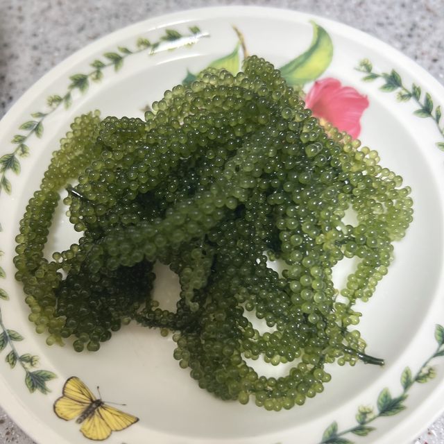 [피터씨마켓] 바다포도 100g(20g x 5봉) 우미부도 그린캐비어 ASMR 소분포장 리뷰 사진