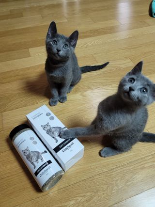 서빵맘님이 올린 리뷰 사진 2